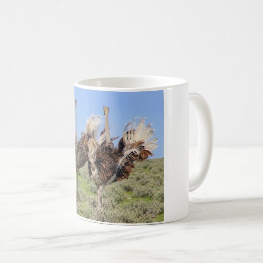 Ostriches, Café Mug (Devant droit)