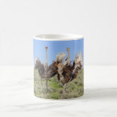 Ostriches, Café Mug (Centre)