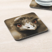 Ostriches Look dessous de verre (Côté gauche)