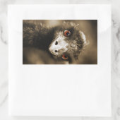 Ostriches Look stickers (Sac)