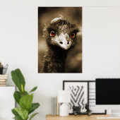 Ostriches poster (Thuiskantoor)
