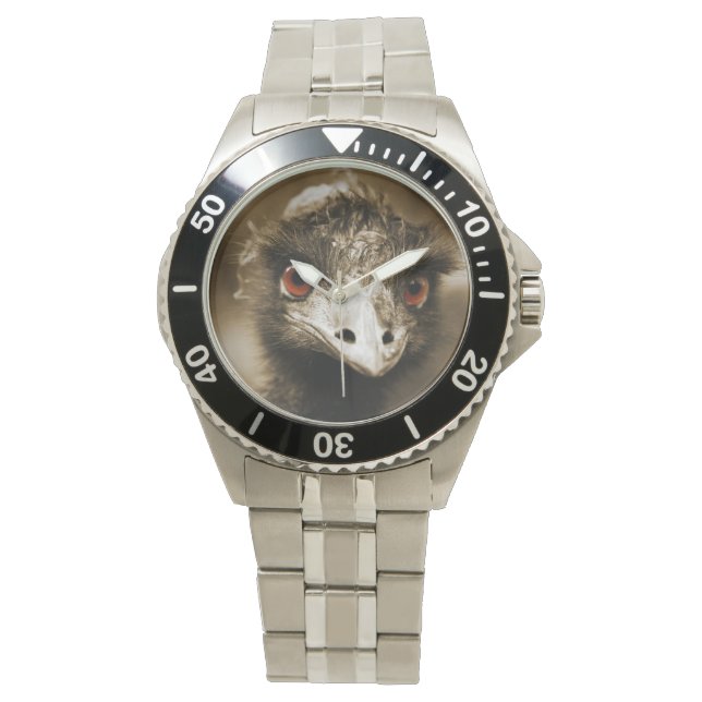 Ostriches Regardez les montres (devant)