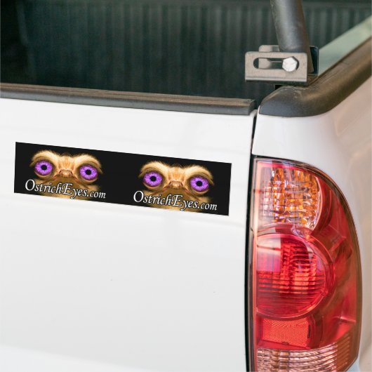 OstrichFace Double BumperSticker (Op Truck)