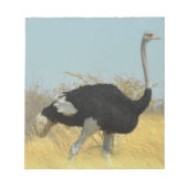 Ostrige uit voor een run notitieblok (Voorkant)