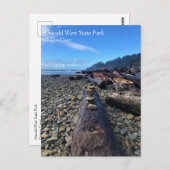 Oswald West State Park, Briefkaart Oregon (Voorkant / Achterkant)