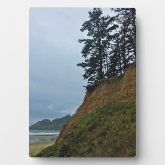 Oswald West State Park, Oregon Coast Fotoplaat (voorkant)