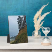 Oswald West State Park, Oregon Coast Fotoplaat (Zijkant)