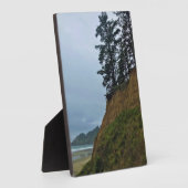 Oswald West State Park, Oregon Coast Fotoplaat (Zijkant)