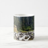 Oswald West State Park, Oregon Coast Koffiemok (Center)