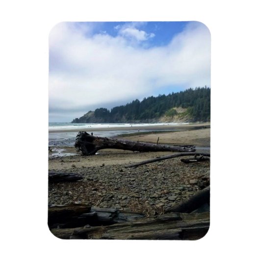 Oswald West State Park, Oregon Coast Magneet (Verticaal)