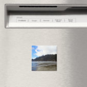 Oswald West State Park, Oregon Coast Magneet (Insitu (Vaatwasser))