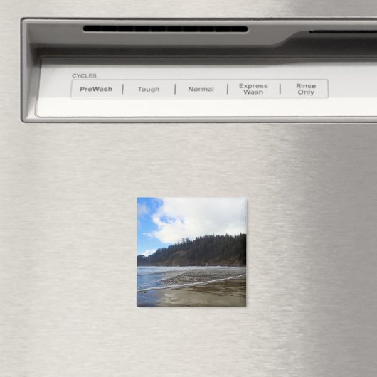 Oswald West State Park, Oregon Coast Magneet (Insitu (Vaatwasser))