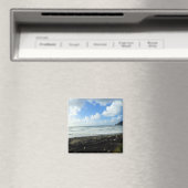 Oswald West State Park, Oregon Coast Magneet (Insitu (Vaatwasser))