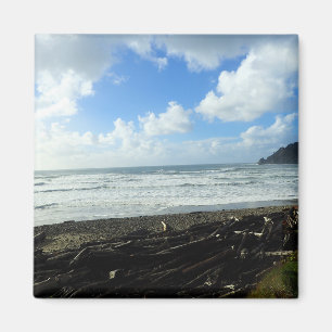 Oswald West State Park, Oregon Coast Magneet