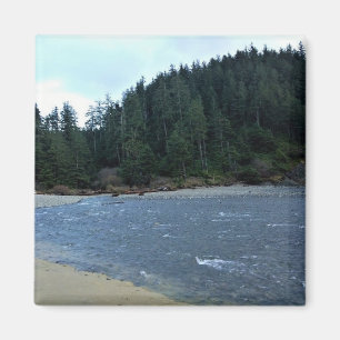 Oswald West State Park, Oregon Coast Magneet