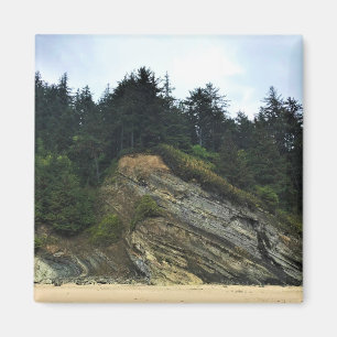 Oswald West State Park, Oregon Coast Magneet