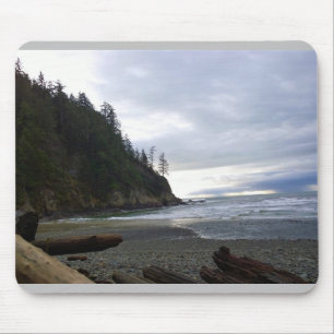 Oswald West State Park, Oregon Coast Muismat
