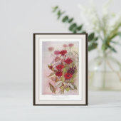 Oswego-Tea Botanisch Vloeibaar Briefkaart (Staand voorkant)