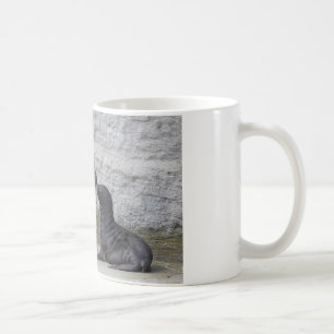 Otaria flavescens koffiemok