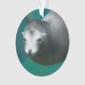 Otarie de Smithsonien | (devant)