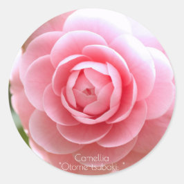 Otome-tsubaki: Camellia [Round Seal] Ronde Sticker