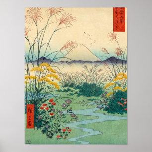 Otsuki in de provincie Kai, 1858, ingediend door U Poster