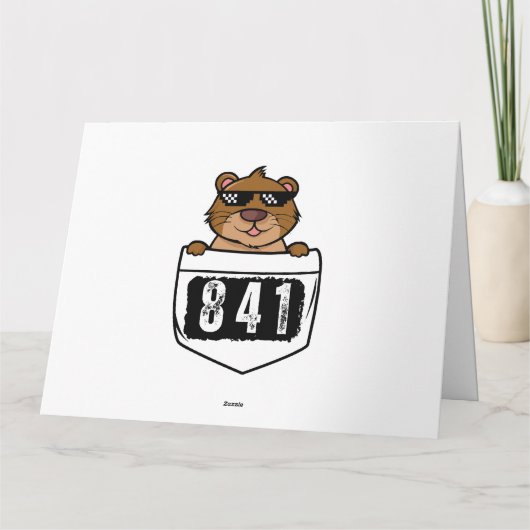 Otter 841 kaart (Achterkant)