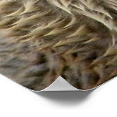 Otter Absurdity Poster (Hoek)