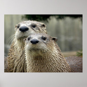 Otter Absurdity Poster