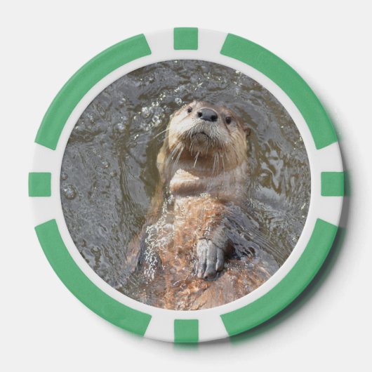 Otter achtervlotter pokerchips (Voorkant)