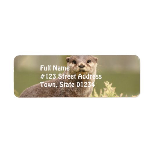 Otter-Adresetiketten Etiket (Voorkant)