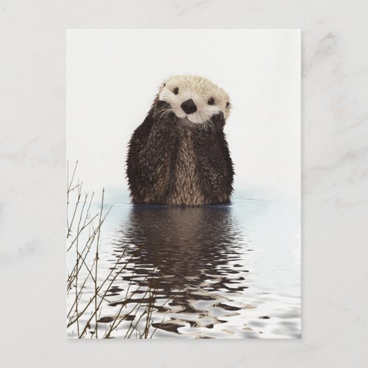 otter briefkaart (Voorkant)
