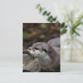 otter briefkaart (Staand voorkant)