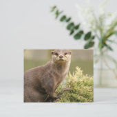 Otter Briefkaart (Staand voorkant)