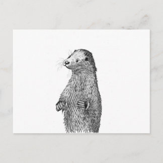 Otter Briefkaart