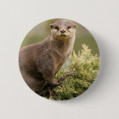 Otter Button (Voorkant)