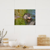Otter die een garnaal eet poster (Keuken)