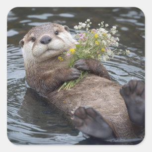 Otter Drijvend met Boeket Wilde Bloemen Vierkante Sticker