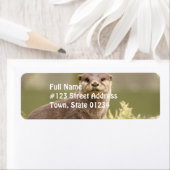 Otter Étiquette de adresse (En situation)