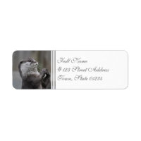 Otter Étiquettes de adresse du cerveau