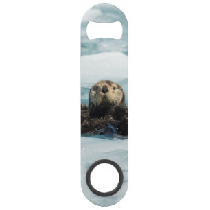 Otter flottante