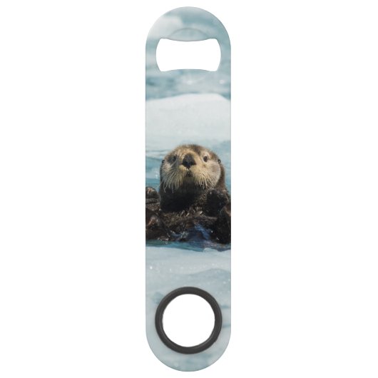 Otter flottante (Devant)