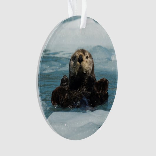 Otter flottante (devant)