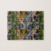 Otter fotocollage, puzzel legpuzzel (Horizontaal)