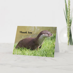 Otter Grass Wildlife Foto Bedankkaart