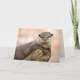 Otter Greetings Card Kaart