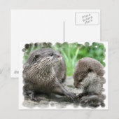 Otter Habitat-Briefkaarten Briefkaart (Voorkant / Achterkant)