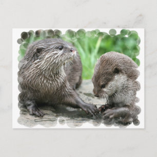 Otter Habitat-Briefkaarten Briefkaart