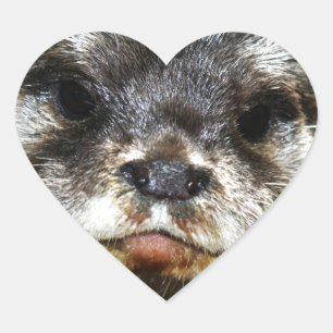 otter hart sticker