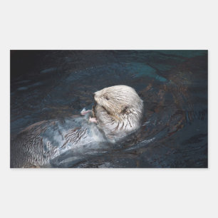 Otter het eten water dierlijke natuur aquatische w rechthoekige sticker